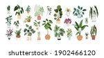 Set of trendy potted plants for home. Different indoor houseplants isolated on white background. Alocasia, begonia, fan palm, monstera, ficus, strelitzia and oxalis. Colored flat vector illustration