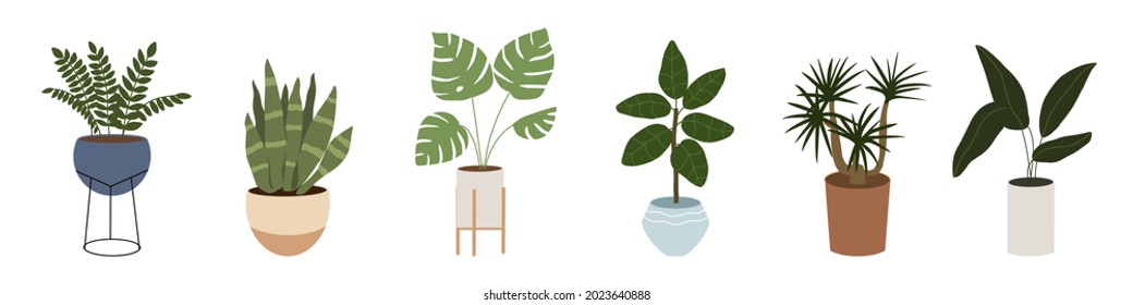 Set of trendy potted plants for home. Vector illustrations.