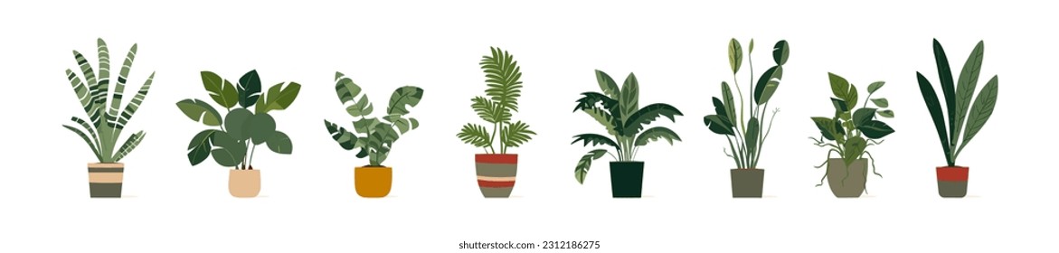 Set of trendy potted plants for home. Different indoor houseplants. Colored flat vector illustration