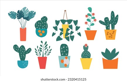 Set of trendy potted plants for home. Different indoor houseplants isolated on white background. Alocasia, begonia, fan palm, monstera, ficus, strelitzia and oxalis. Colored flat vector illustration