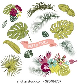 Set of trendy Tropical leaves, Vector illustration
