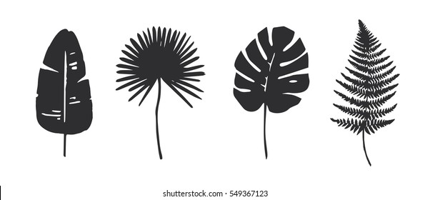 Set Of Trendy Tropical Leaves. Vector. Silhouette