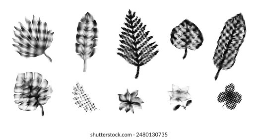 Set von trendigen Vektorgrafik Halbton strukturierte tropische Blüten und Blätter, exotische Pflanzen. Botanische Elemente mit schwarzer Halbtontextur für Natur-Banner, Aufkleber, Grußkarten-Design, Muster