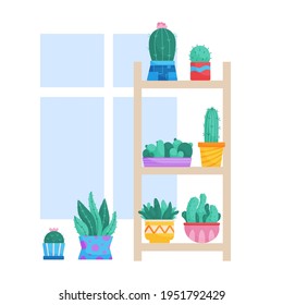 Set of trendy, vector, houseplants in pots for home on the shelves. Cacti on a rack isolated on a white background. Bright flat illustrations. Printing, fabric. textiles, interior