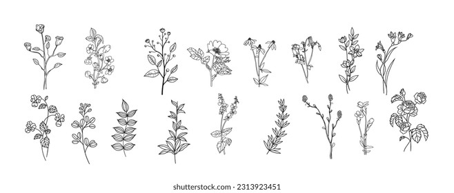 Flores silvestres de moda y flores minimalistas para el logotipo o la decoración. Hierba de bodas de la línea trazada a mano, hojas elegantes para invitación salven la tarjeta de fecha. Vector de vegetación botánico-rústico de moda