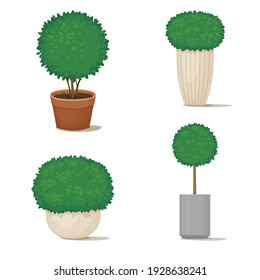 Set of trimmed bushes with lush green foliage. Ornamental potted plants for indoor, park or garden decoration. Vector illustration. Summer, spring icon. Topiary design.
