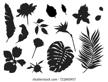 Set of tropic leaves, berries, buds and flowers silhouettes