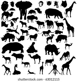 set of tropical animals