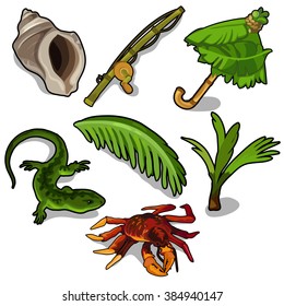 Set of tropical animals and plants. Vector illustration.