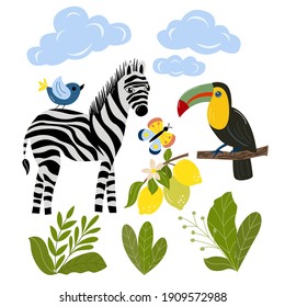 Set of tropical animals - zebra, toucan, butterfly, leaves, clouds in vector graphics on a white background. For the design of postcards, banners, prints for covers, t-shirts, packaging.