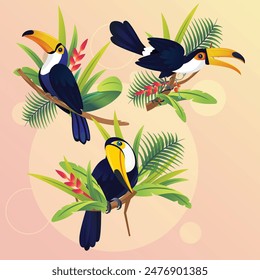 Conjunto de diseño de dibujos animados de tucán de pájaro tropical