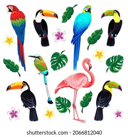 Set of tropical birds and tropical flowers and leaves: red-billed and rainbow-billed toucans, flamingos, parrots, motmot, frangipani plumeria, monstera, banana leaves. Vector isolated illustrations