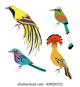 Set of tropical birds hand draw. Emperor Bird of Paradise, royal flycatcher, Lilac-breasted Roller and Turquoise-browed motmot on a white background.