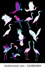 Set of tropical birds. Stickers, elements for design in neon, fluorescent colors vector illustration. Isolated on black background.