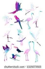 Set of tropical birds. Stickers, elements for design in neon, fluorescent colors vector illustration. Isolated on white background.