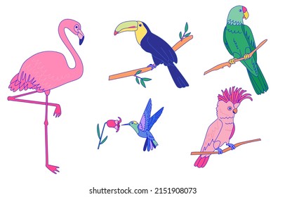 Set of tropical birds: toucan, flamingo, hummingbird and parrot. Illustration of jungle animals
