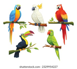 Set of tropical birds vector cartoon illustration