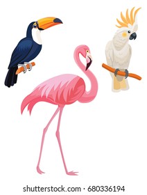 Set of tropical birds. Vector illustrations.