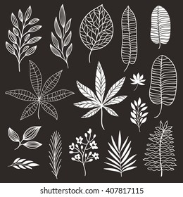 set of tropical black and white leaves
