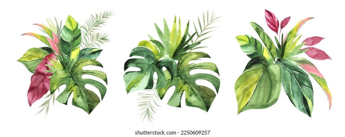 Set of Tropical bouquets with green watercolor leaves for wedding and ceremony decoration isolated on white background. Vector