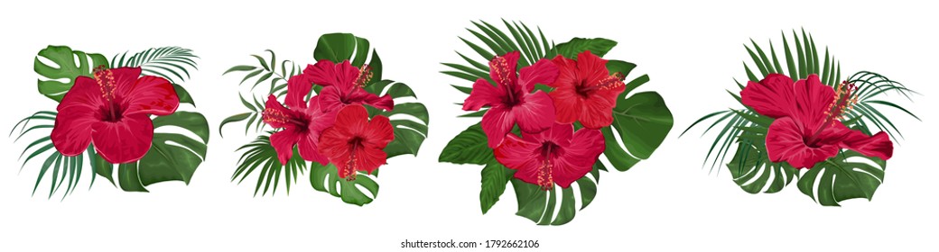 Set of tropical bouquets. Red hibiscus. Monstera leaves, palm trees. Exotic plants. Flowers on a white background.