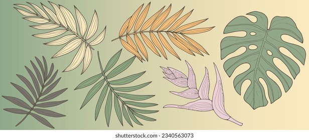 Set of tropical branches and leaves in green, yellow and pink colors. Tropical objects for decor, designs, cards and presentations