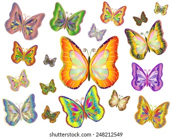 Set of tropical butterflies