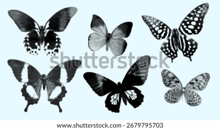 A set of tropical butterflies with a halftone effect. Vector illustration on a light background. Black silhouettes with texture. Elements for scrapbooking, design, and decoration.