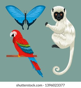 set tropical butterfly with parrot and lemur