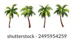 Set of tropical coconut palm tree. Vector cartoon illustration