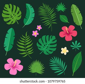 Set of tropical colorful exotic plants leaves and flowers of plumeria and hibiscus isolated on black background. Vector illustration