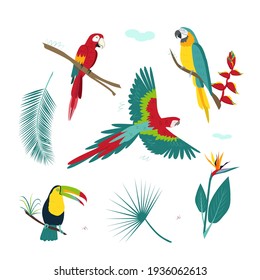 A set of tropical colorful parrots, plants, bright flowers. Modern vector illustration on a white background