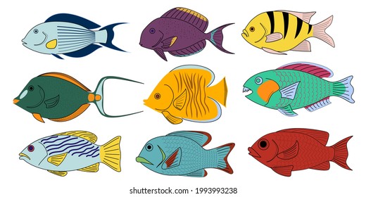  Set of tropical coral cartoon fishes. Vector illustration. 