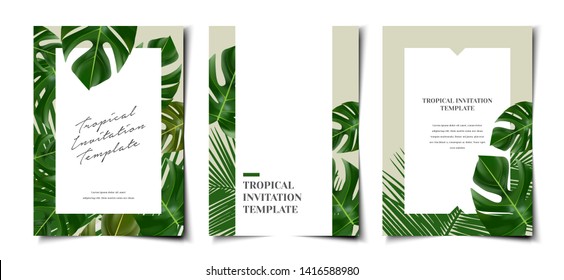 Set of tropical cover template layout set with monstera and coconut leaf