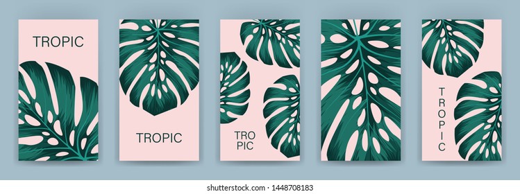 Set of tropical cover template layout set with monstera. Monstera deliciosa is a main pattern all project. Everything built on layers and editable shapes.