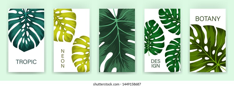 Set of tropical cover template layout set with monstera. Monstera deliciosa is a main pattern all project. Everything built on layers and editable shapes.