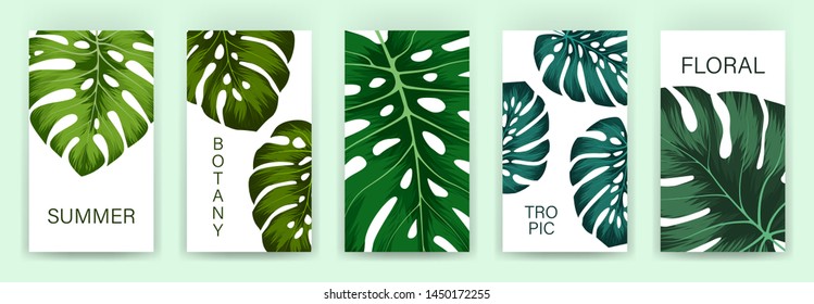 Set of tropical cover template layout set with monstera. Monstera deliciosa is a main pattern all project. Everything built on layers and editable shapes.