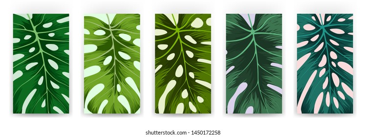 Set of tropical cover template layout set with monstera. Monstera deliciosa is a main pattern all project. Everything built on layers and editable shapes.