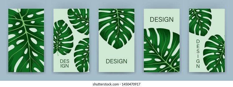 Set of tropical cover template layout set with monstera. Monstera deliciosa is a main pattern all project. Everything built on layers and editable shapes.