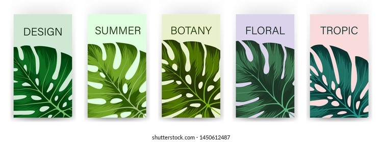 Set of tropical cover template layout set with monstera. Monstera deliciosa is a main pattern all project. Everything built on layers and editable shapes.