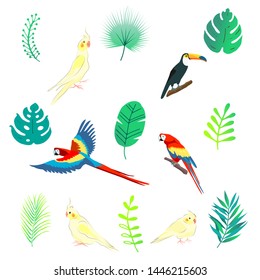 Set of tropical design elements birds and palm leaves.
