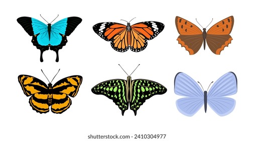 Set of tropical elegant butterflies with colorful wings. Collection of Gorgeous exotic moth or insects, top view. Cute cartoon tropical butterflies isolated. Colorful flat vector illustration isolated