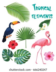 Set of tropical elements.
