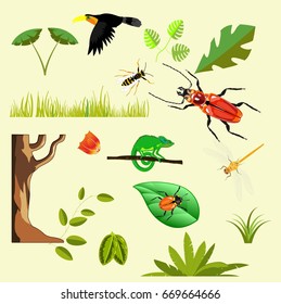 Set of tropical elements, birds, plants, insects