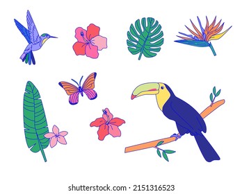 Set of tropical elements: birds, toucan, flowers, palm leaves, butterfly and hummingbird. Summer vector stickers.