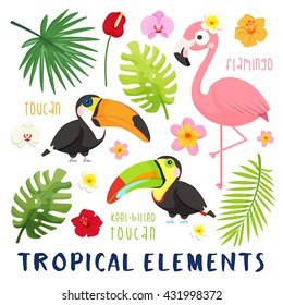 A set of tropical elements collection including flowers, leaves, flamingos, toucans. Cartoon flat illustration. 