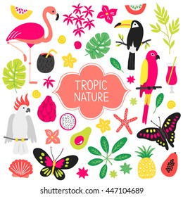 Set of tropical elements. Flamingo, butterfly, toucan, macaw, shell, cocktail, 
bamboo, carambola, avocado, dragon fruit, cockatoo, pineapple, starfish. Cartoon design