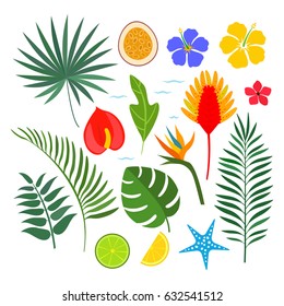 A Set Of Tropical Elements - Flowers, Plants And Fruits. Flat Vector Illustration