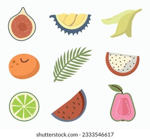 Set von tropischen Elementen Symbole Clipkunst einzelne Vektorgrafiken