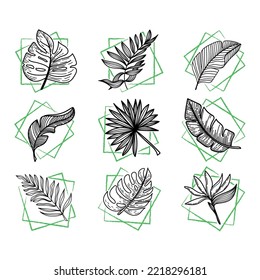 Set of tropical elements tropical monster leaves, banana leaves, etc. Hand-drawn doodle-style elements. Bright greens in abstract squares. Tropics. Summer. 